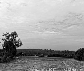 DSC_1560_DxO
